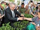 Edremit Belediyesi, vatandaşlara ücretsiz fide dağıttı