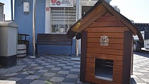 Karesi Belediyesi, geri dönüşüm malzemelerinden hayvan evleri yapıyor - haberi