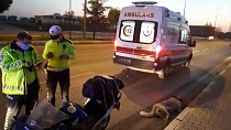 Motosikletin çarptığı köpek telef oldu, sürücü ağır yaralandı - haberi