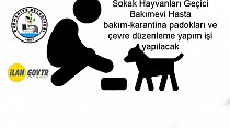 Sokak Hayvanları Geçici Bakımevi Hasta bakım-karantina padokları ve çevre düzenleme yapım işi yapılacak - haberi