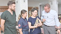 Balıkesir Büyükşehir’in şefkat eli minik kediyi iyileştirdi
