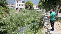 Edremit’te sinekle mücadele sıkı bir şekilde devam ediyor / 06.06.2024 PERŞEMBE