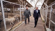 AYVALIK BELEDİYESİ SOKAKTAKİ CAN DOSTLARIN DA YANINDA
