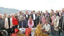 Balıkesirli susam üreticisine büyük destek