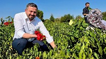 AK PARTİ İL BAŞKANI MEHMET AYDEMİR’DEN ÇİFTÇİLERE MÜJDE