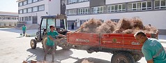 AYVALIK’TA OKULLAR AÇILMADAN KAPSAMLI TEMİZLİK