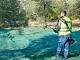 BURHANİYE'DE ZEYTİN HASADI BAŞLADI