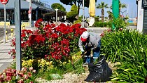 BURHANİYE’DE PARK VE YEŞİL ALANLARDA ÇALIŞMALAR KESİNTİSİZ SÜRÜYOR
