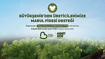 BÜYÜKŞEHİR’DEN ÇİFTÇİLERE MARUL FİDESİ DESTEĞİ! - haberi