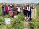 CANBEY, KEPSUT’TA ÇİFTÇİLERLE BİRLİKTE HASAT YAPTI
