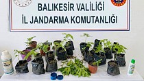 JANDARMA’DAN 10 İLÇE’DE NARKOTİK OPERASYONLARI!