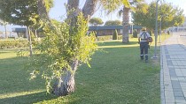 BURHANİYE’DE PARK VE YEŞİL ALANLARDA BAKIM ÇALIŞMALARI SÜRÜYOR