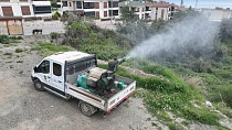 Edremit Belediyesi, uçkunla mücadelede seferberlik başlattı - haberi