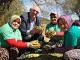 EDREMİT BELEDİYESİ’NDE ZEYTİN HASADI BAŞLADI