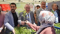 EDREMİT BELEDİYESİ’NDEN ÜCRETSİZ ATA TOHUMU FİDE DAĞITIMI