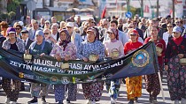AYVALIK’TA ULUSLARARASI ZEYTİN HASAT VE TURİZM FESTİVALİ HEYECANI