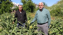 Edremit Ziraat Odası Başkanı Ali Yılmaz Diker, Üreticinin Sesine Kulak Verin!