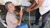 HAVRAN'IN TEK NALBANT USTASI AHMET ERCANASLAN