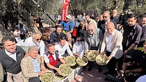 HAVRAN’DA 1000 YILLIK ANIT ZEYTİN AĞACININ GÖLGESİNDE HASAT ŞENLİĞİ GERÇEKLEŞTİRİLDİ - haberi