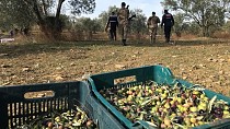 Jandarma ve Çiftçi mallarını koruma ekiplerinin Önleyici Kolluk faaliyetleri devam ediyor - haberi
