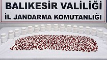 JANDARMA’DAN 12 İLÇE’DE NARKOTİK OPERASYONLARI!