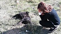 Ağılına girip kuzularına zarar verdiğini iddia ettiği köpeği öldürdü  - haberi