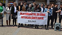 Ankara'daki köpek katliamı Balıkesir'de protesto edildi  - haberi
