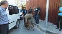 Burhaniye’de polis uyuşturucu satıcılarına geçit vermiyor - haberi
